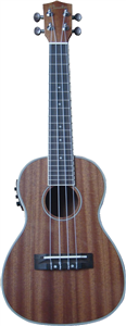 UKULELE electro acoustique // ELECTRO ACOUSTIC UKULELE