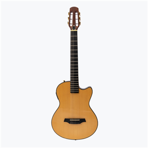 Guitare electro acoustique