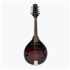 MANDOLINE ELECTRO ACOUSTIQUE // ELECTRO-ACOUSTIC MANDOLIN